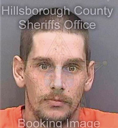 Delmont Jason - Hillsborough County, FL 