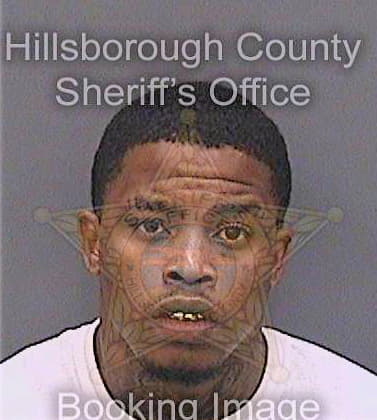 Johnson Corey - Hillsborough County, FL 