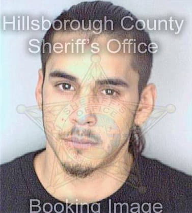 Ramirez Anthony - Hillsborough County, FL 