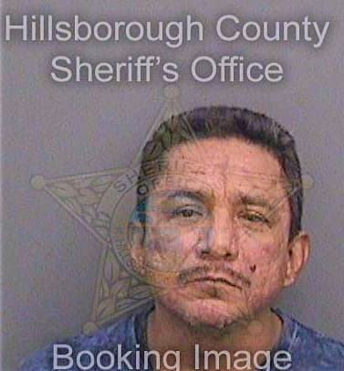 Varelaborjas Jorge - Hillsborough County, FL 