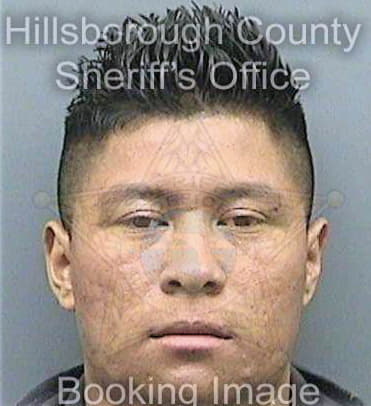 Diazgomez Domingo - Hillsborough County, FL 