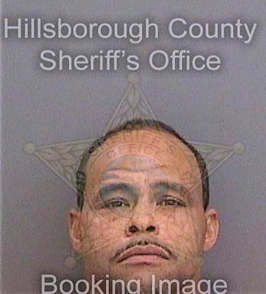 Wallace Thomas - Hillsborough County, FL 