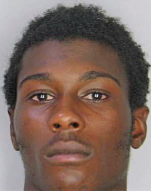 Lewis Deonta - Hillsborough County, FL 