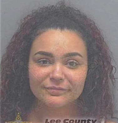 Santiago Widdalys - Lee County, FL 