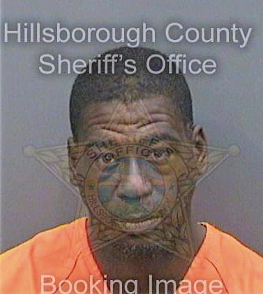 Patterson Anthony - Hillsborough County, FL 