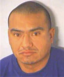 Vargas Gerardo - Fulton County, GA 