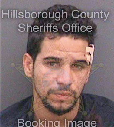 Camargo Carlos - Hillsborough County, FL 