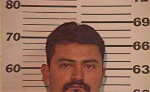 Ramirez Jose - Hidalgo County, TX 