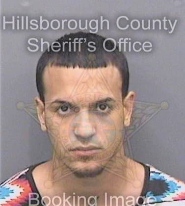 Gonzalez Luis - Hillsborough County, FL 