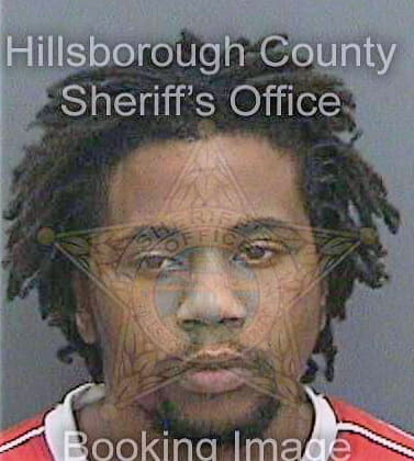 Mills Dontavious - Hillsborough County, FL 