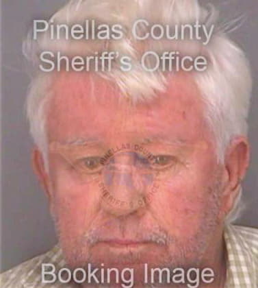 Downey Michael - Pinellas County, FL 