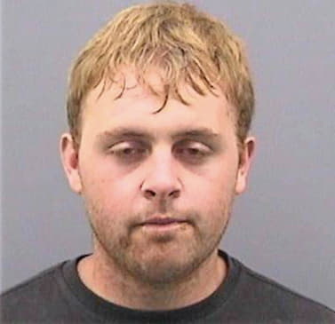 Sherron Sean - Hillsborough County, FL 