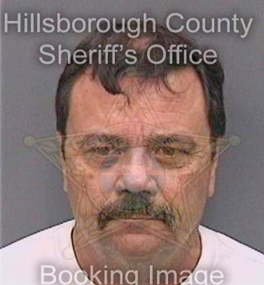 Mcgraw William - Hillsborough County, FL 