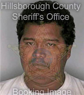 Martinez Mayolo - Hillsborough County, FL 