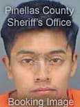 Hernandez Alan - Pinellas County, FL 