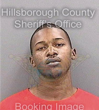 Sampson Kelvin - Hillsborough County, FL 