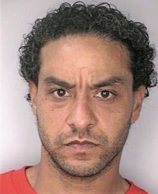 Menendez Shawn - Hillsborough County, FL 