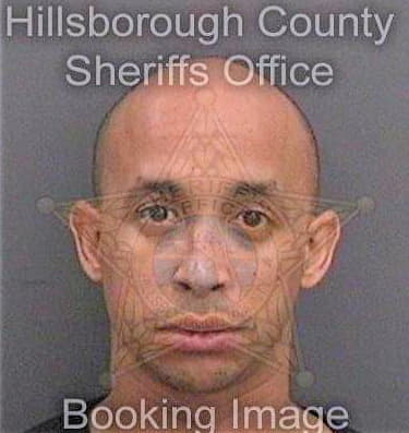 Stewart Tyler - Hillsborough County, FL 