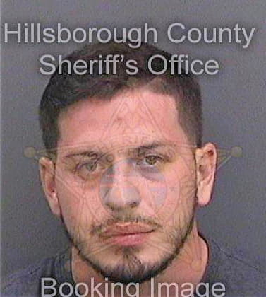 Ramirez David - Hillsborough County, FL 