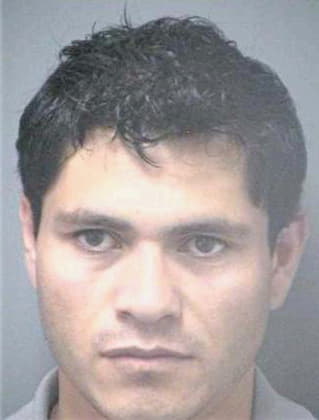 Guiterrez Hilario - Hillsborough County, FL 