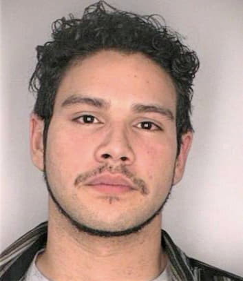 Melendez Daniel - Hillsborough County, FL 