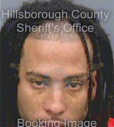 Lewis Henry - Hillsborough County, FL 