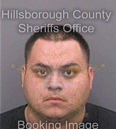 Garcia Michael - Hillsborough County, FL 