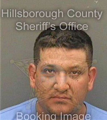 Ramirezarroyo Moises - Hillsborough County, FL 