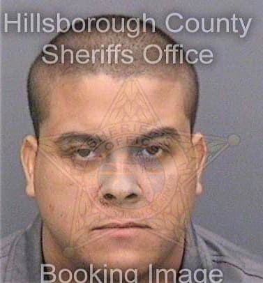 Lopezllanos Peter - Hillsborough County, FL 