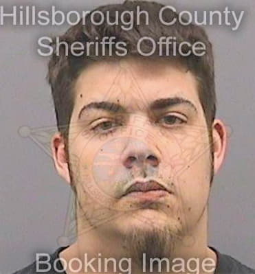 Leighton Matthew - Hillsborough County, FL 