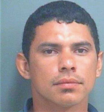 Contrerasjavier Josue - PalmBeach County, FL 