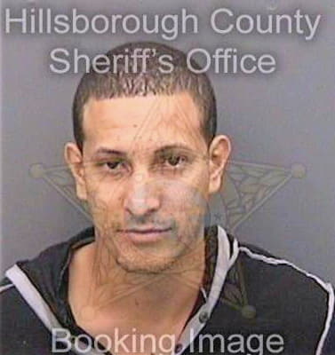 Viamontesarce Eduardo - Hillsborough County, FL 