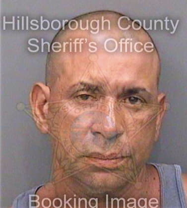 Perez Salvador - Hillsborough County, FL 