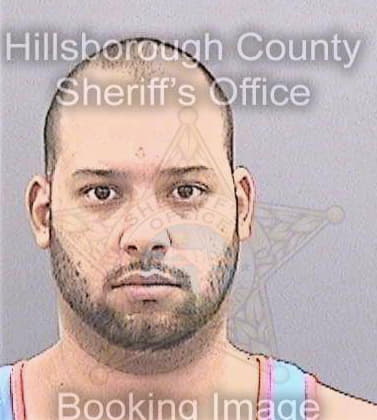 Fontes Jason - Hillsborough County, FL 