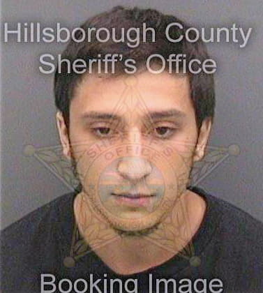 Sullivan Vincent - Hillsborough County, FL 