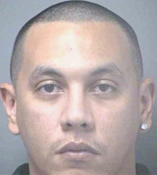 Mejia Ivan - Hillsborough County, FL 
