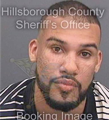 Martinez Hainsley - Hillsborough County, FL 