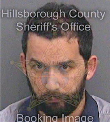 Diaz Henryk - Hillsborough County, FL 