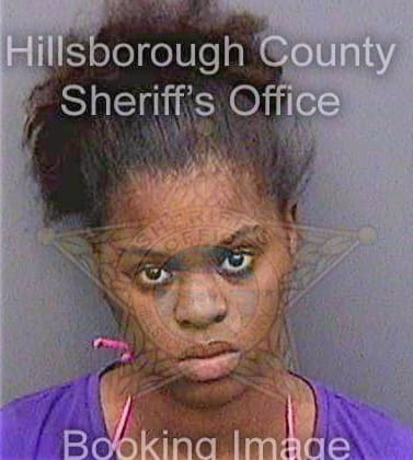 Nixon Patrice - Hillsborough County, FL 