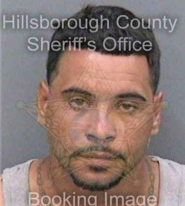 Rodriguez Alexander - Hillsborough County, FL 