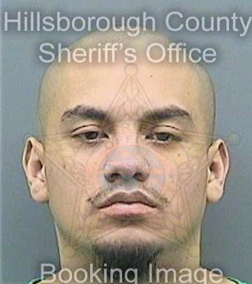 Gonzalez Eberardo - Hillsborough County, FL 