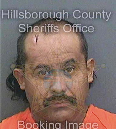 Ramirezdiaz Eladio - Hillsborough County, FL 