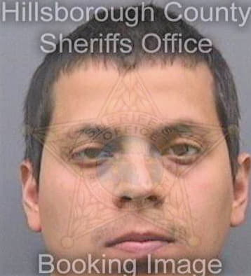 Tortorelli Vicente - Hillsborough County, FL 