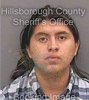 Garcia Dimas - Hillsborough County, FL 