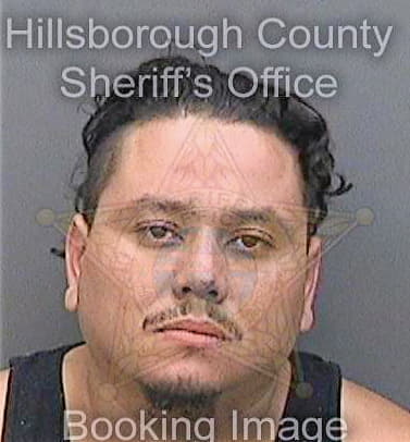 Sosa Oscar - Hillsborough County, FL 