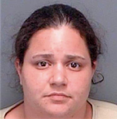 Dimichele Patricia - Pinellas County, FL 