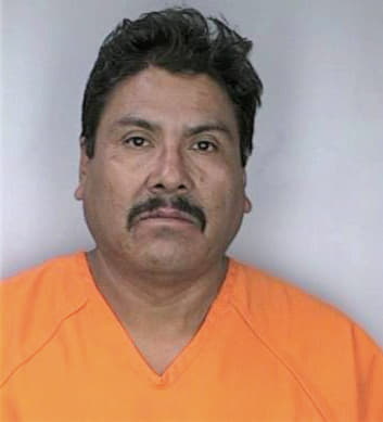 Lopez Desantiago - Hillsborough County, FL 