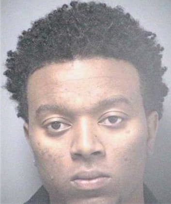 Vickers Tavares - Hillsborough County, FL 