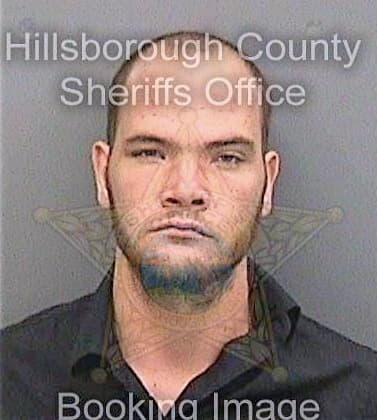 Goforth Cody - Hillsborough County, FL 