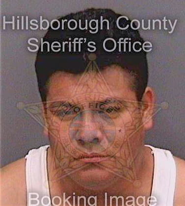 Reyesgonzalez Felipe - Hillsborough County, FL 